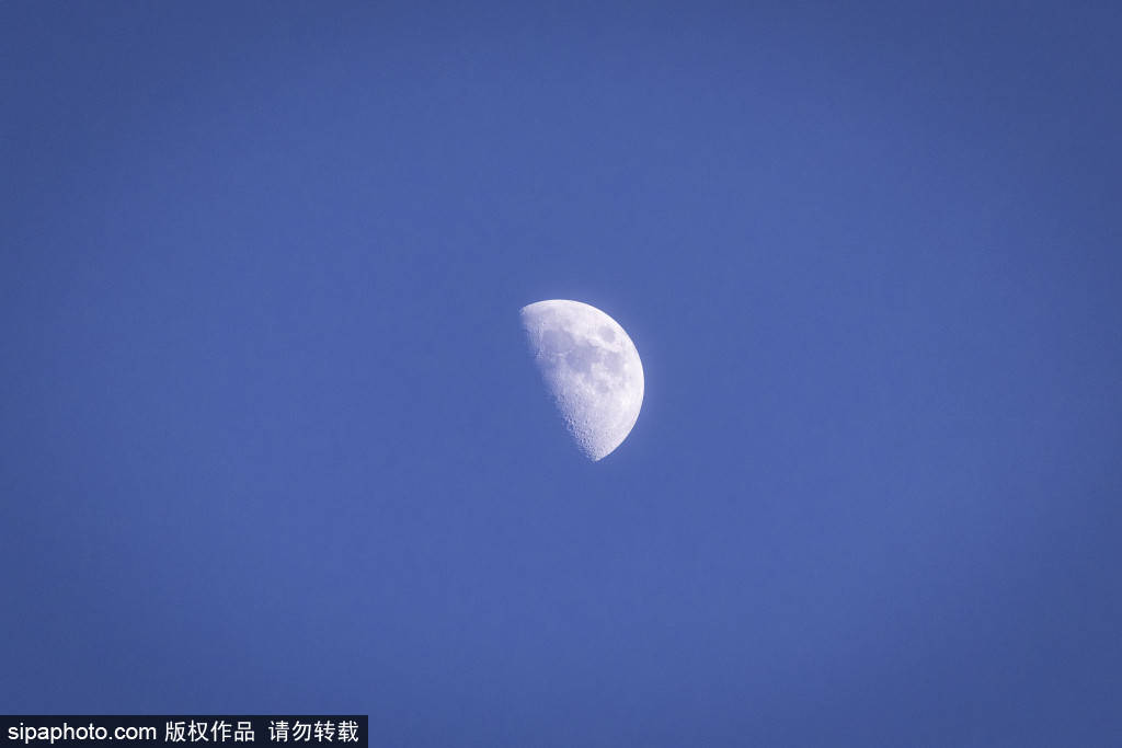 维尼修斯双响推迟巴塞罗那夺冠，西班牙人深陷保级泥潭：一场充满争议与精彩的西甲对决